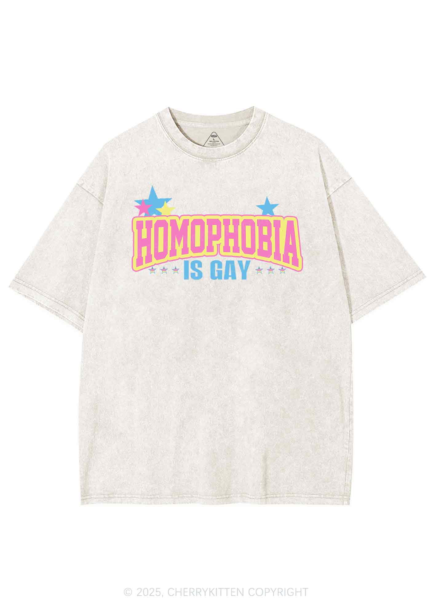 Homophobia Is Gay Y2K Washed Tee Cherrykitten