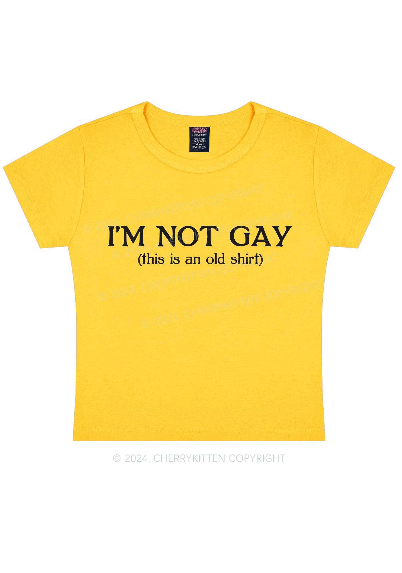 I'm Not Gay Y2K Baby Tee Cherrykitten