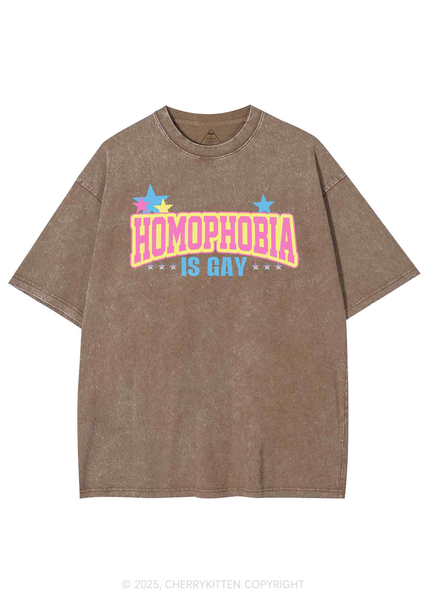 Homophobia Is Gay Y2K Washed Tee Cherrykitten