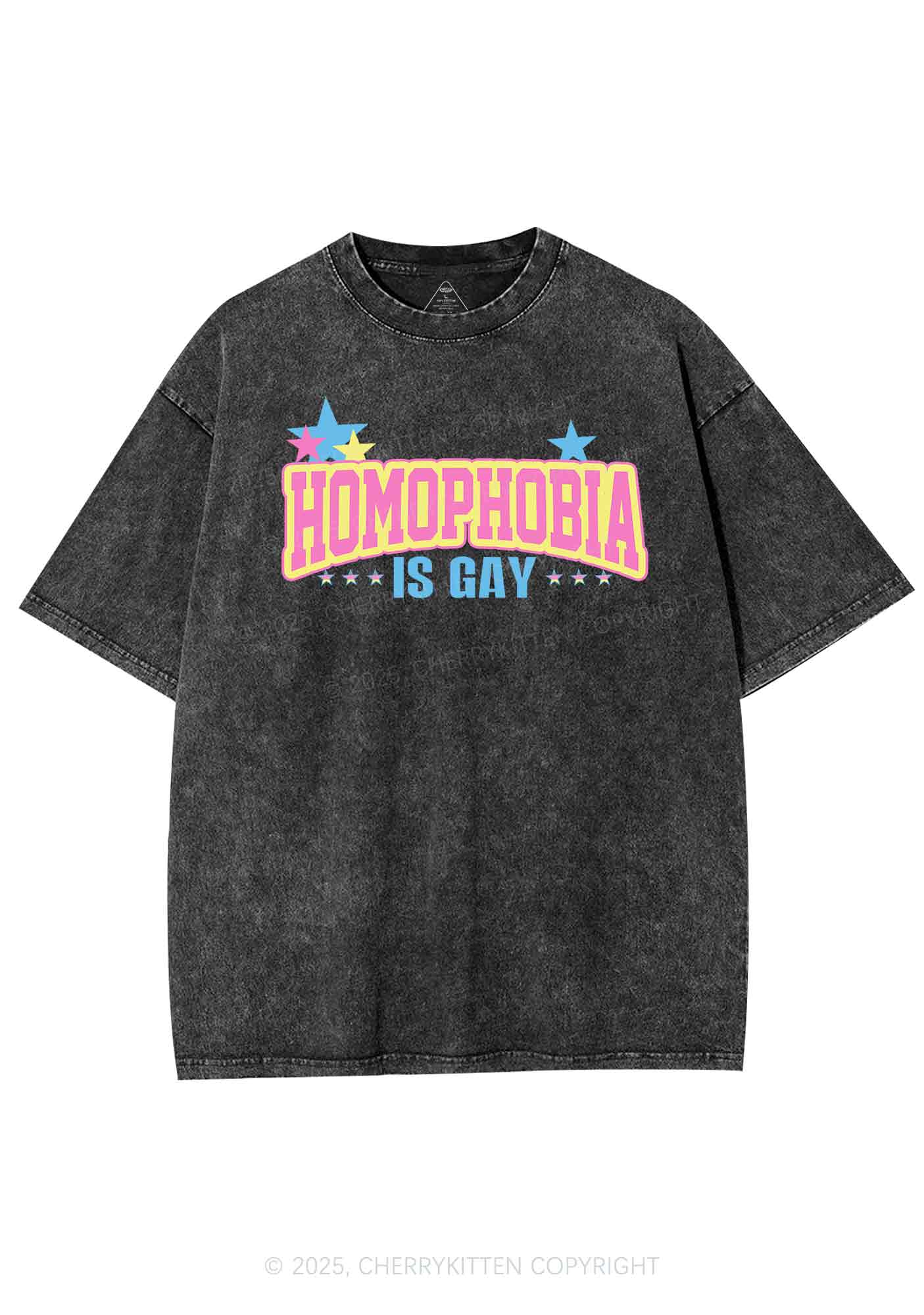 Homophobia Is Gay Y2K Washed Tee Cherrykitten