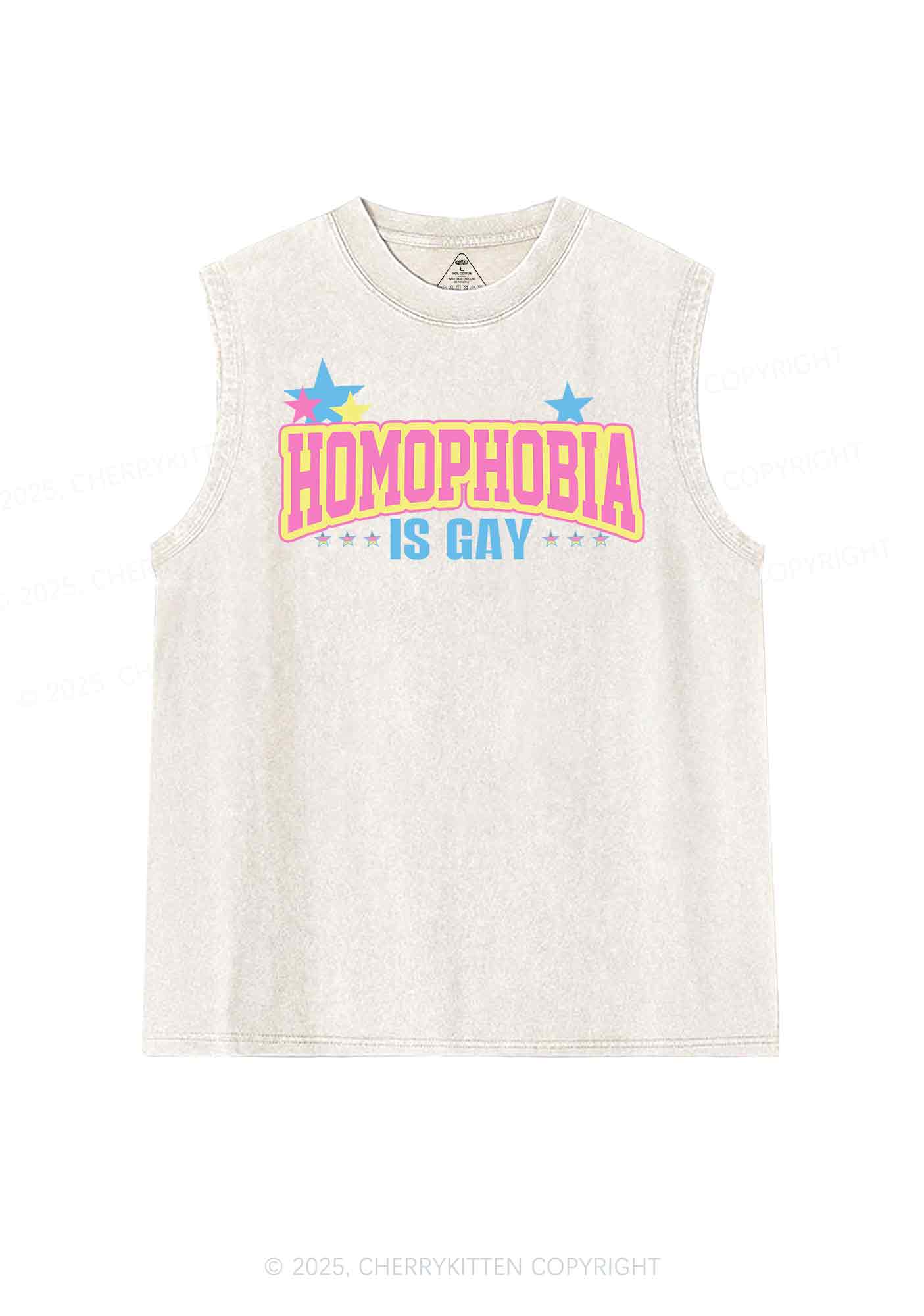 Homophobia Is Gay Y2K Washed Tank Cherrykitten