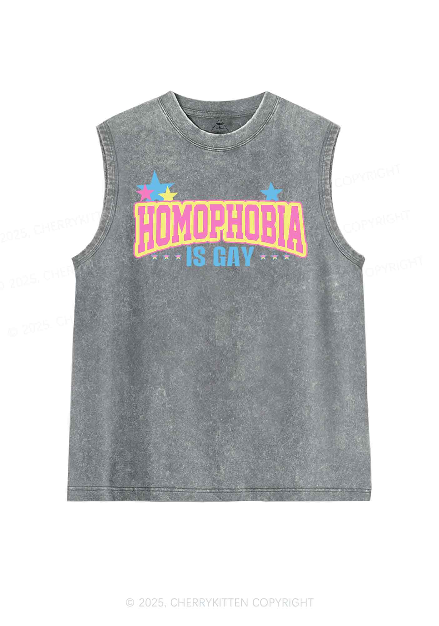 Homophobia Is Gay Y2K Washed Tank Cherrykitten