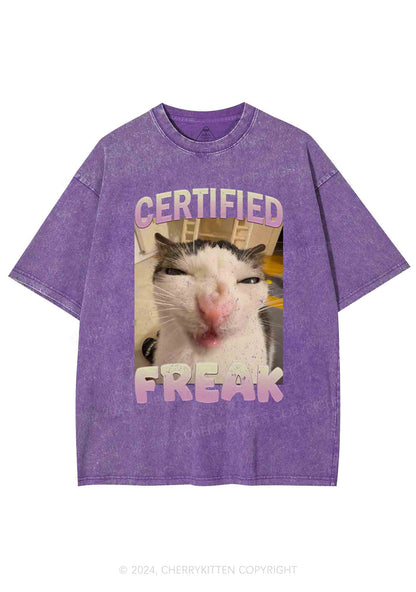 Certified Freak Y2K Washed Tee Cherrykitten