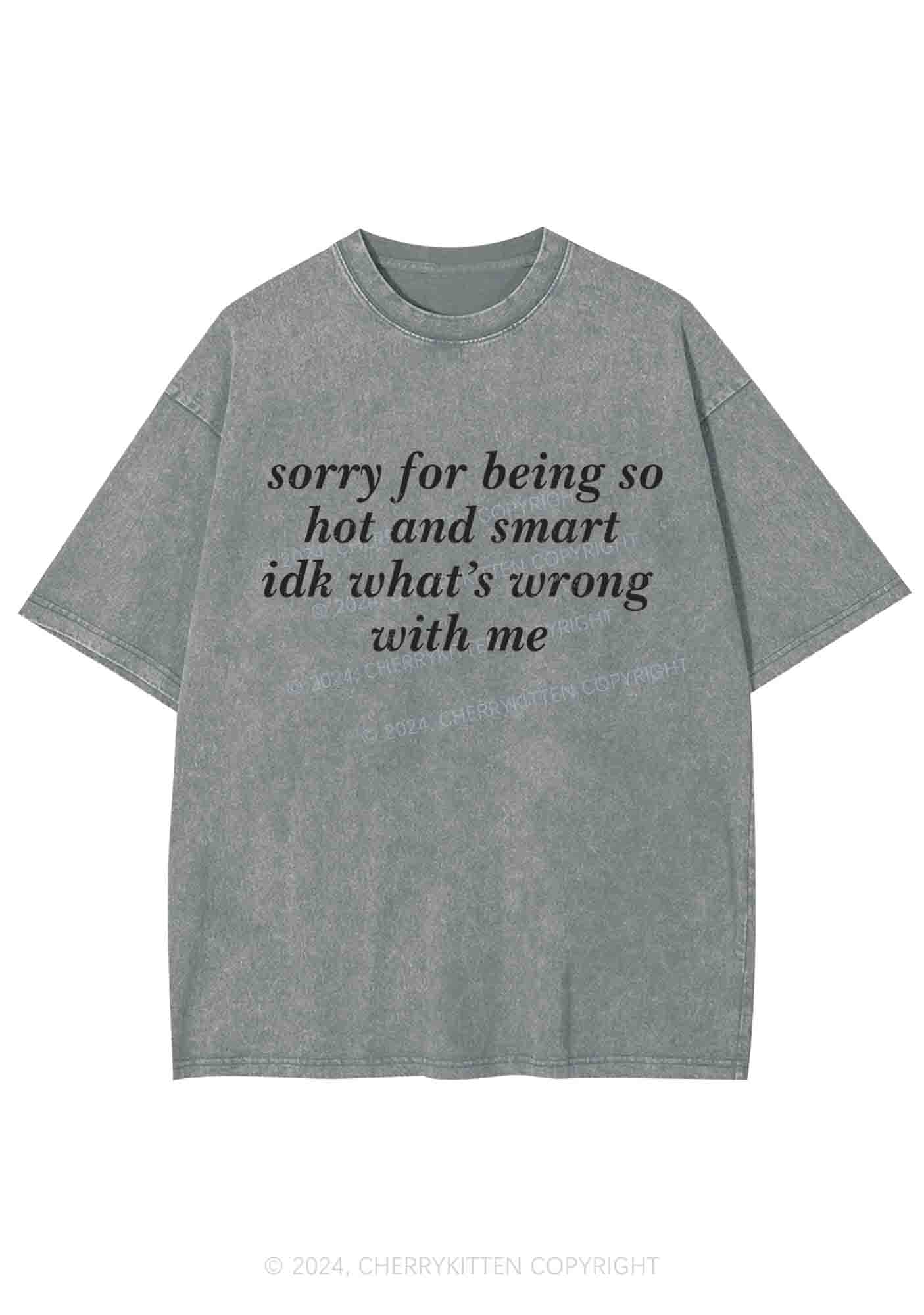 Sorry For Being So Smart Y2K Washed Tee Cherrykitten