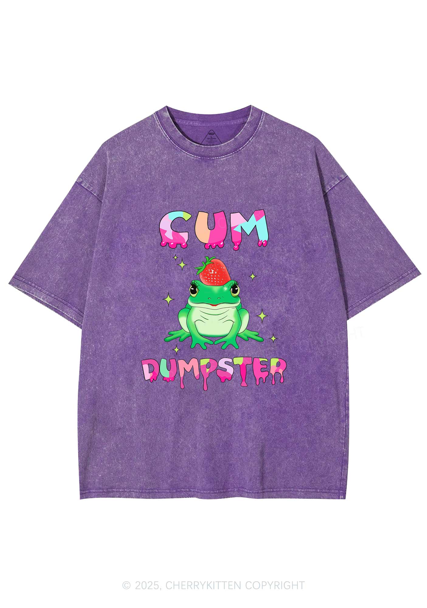 Frog Cxm Dumpster Y2K Washed Tee Cherrykitten