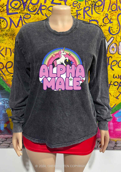 Rainbow Unicorn Alpha Male Y2K Washed Long Sleeves Cherrykitten