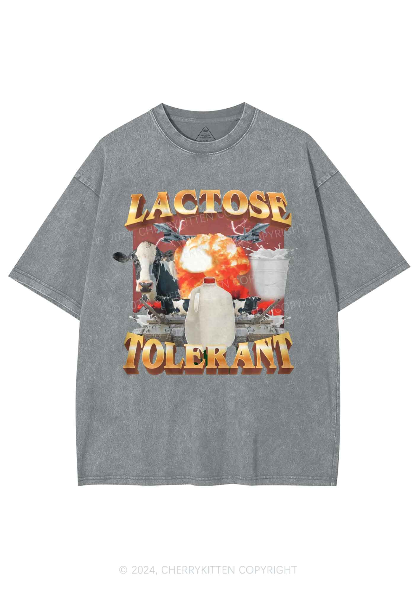 Retro Milk Lactose Tolerant Y2K Washed Tee Cherrykitten