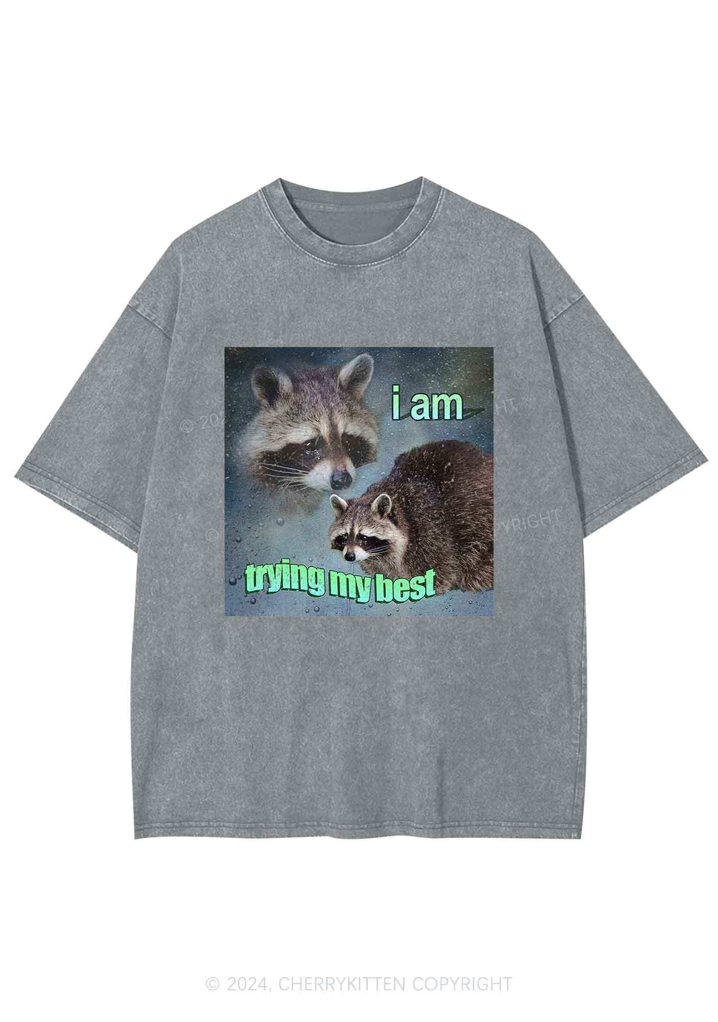 I Am Trying My Best Raccoon Y2K Washed Tee Cherrykitten