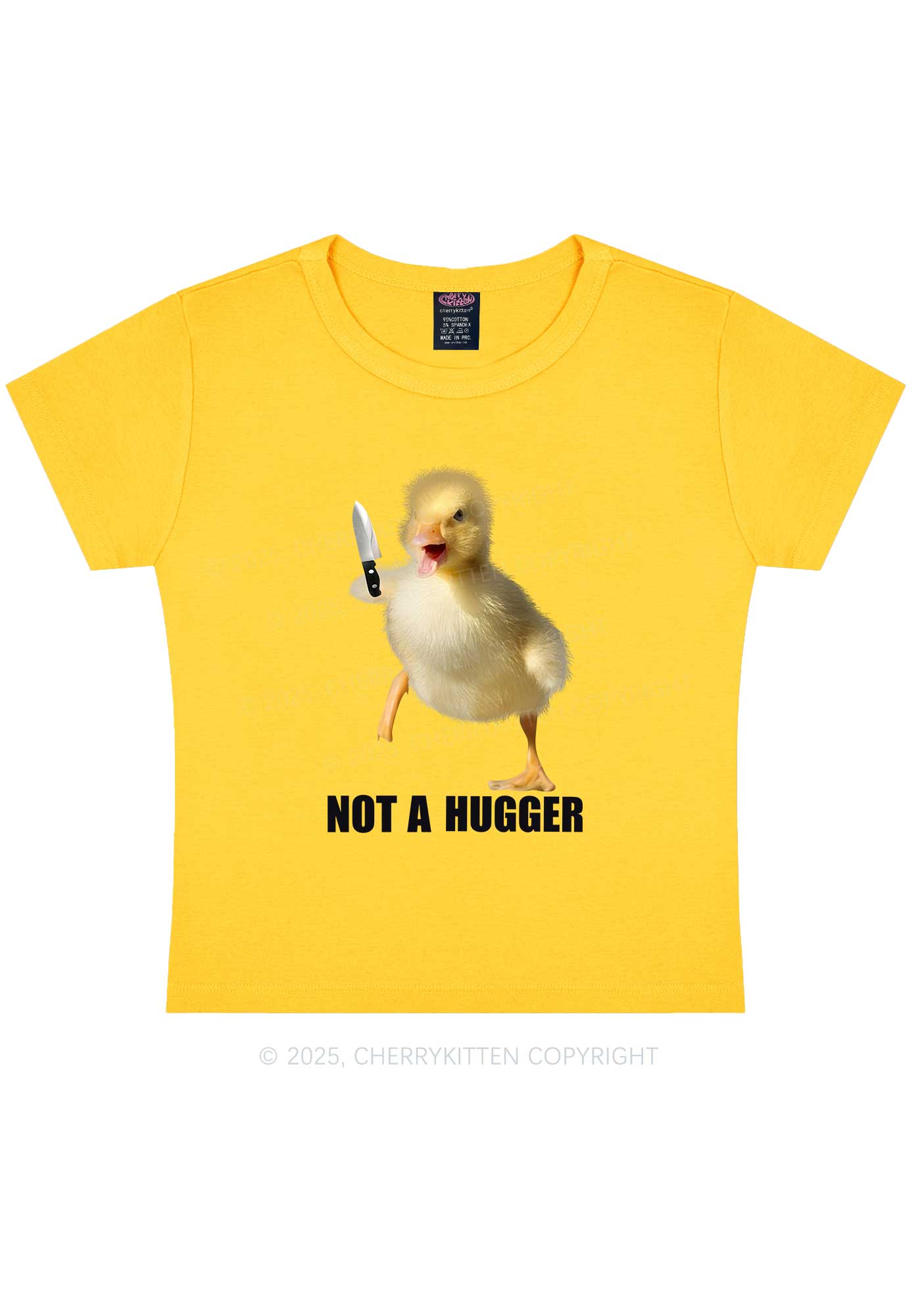 Not A Hugger Y2K Baby Tee Cherrykitten