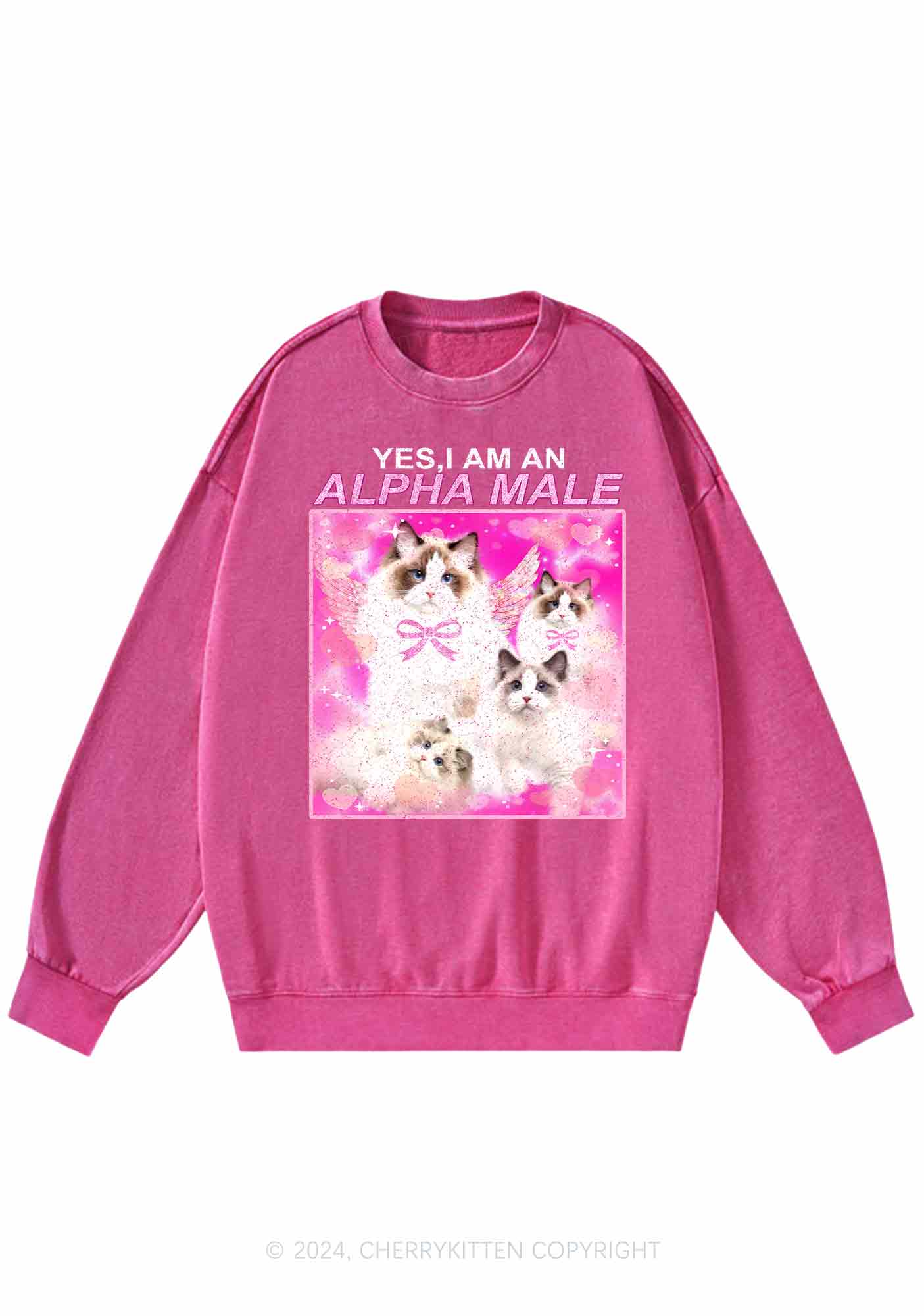 Alpha Male Y2K Washed Sweatshirts Cherrykitten