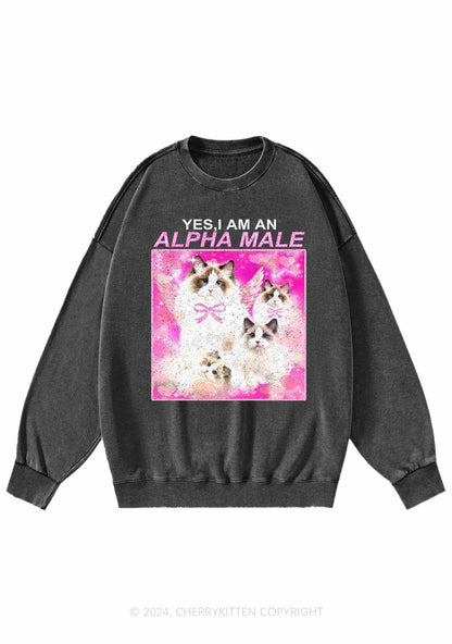 Alpha Male Y2K Washed Sweatshirts Cherrykitten