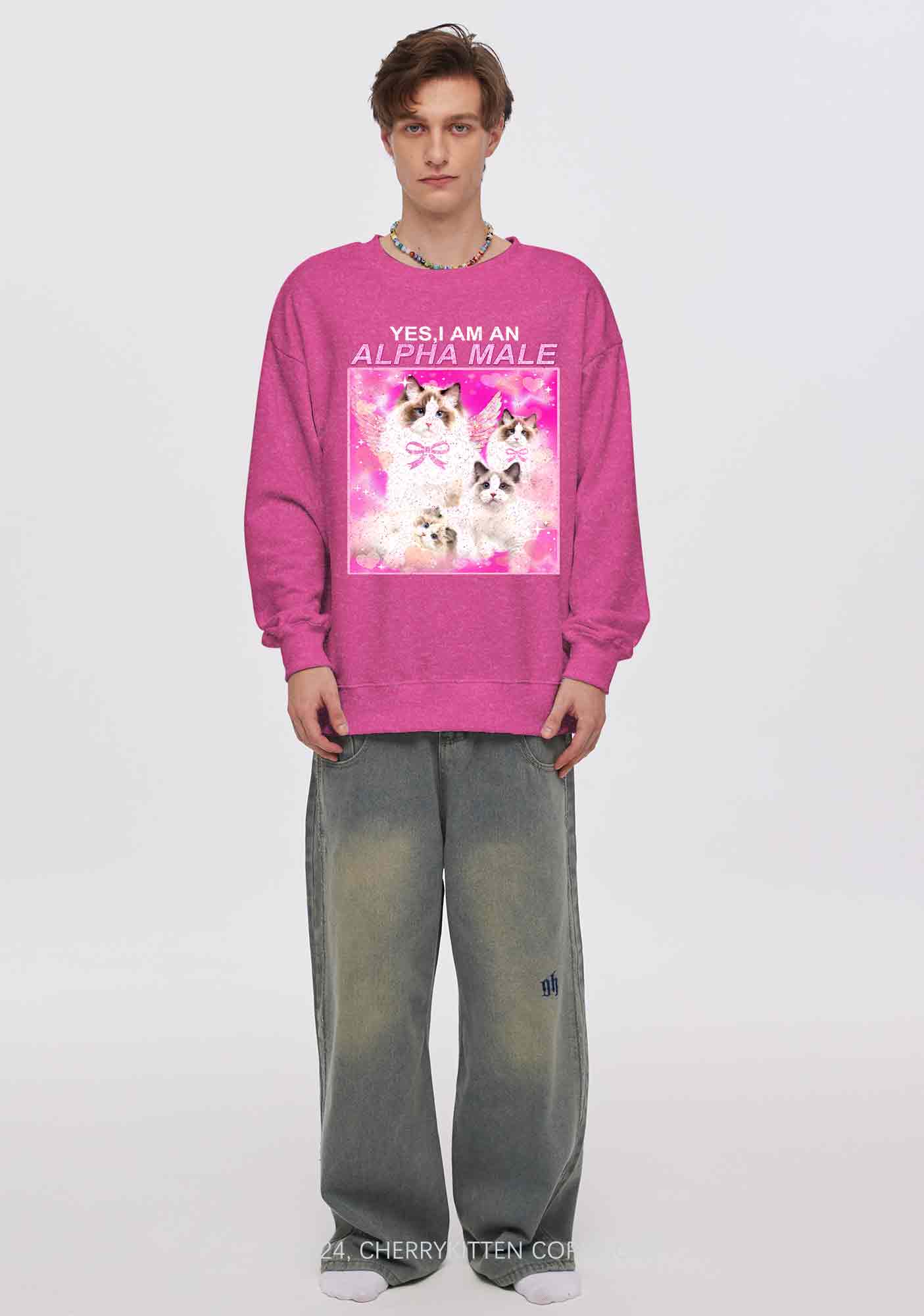 Alpha Male Y2K Washed Sweatshirts Cherrykitten