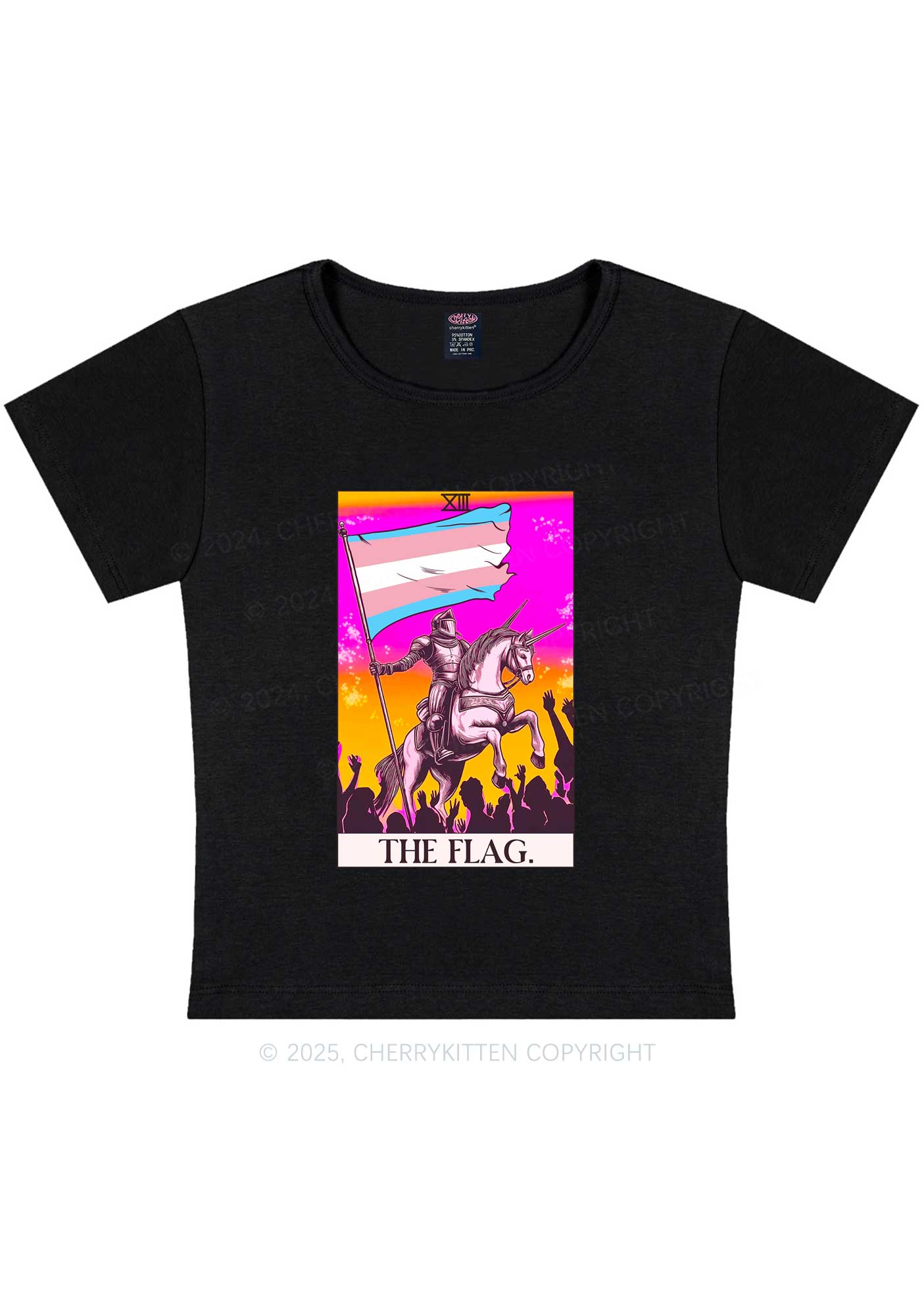 Custom Pride Flag Y2K Baby Tee Cherrykitten