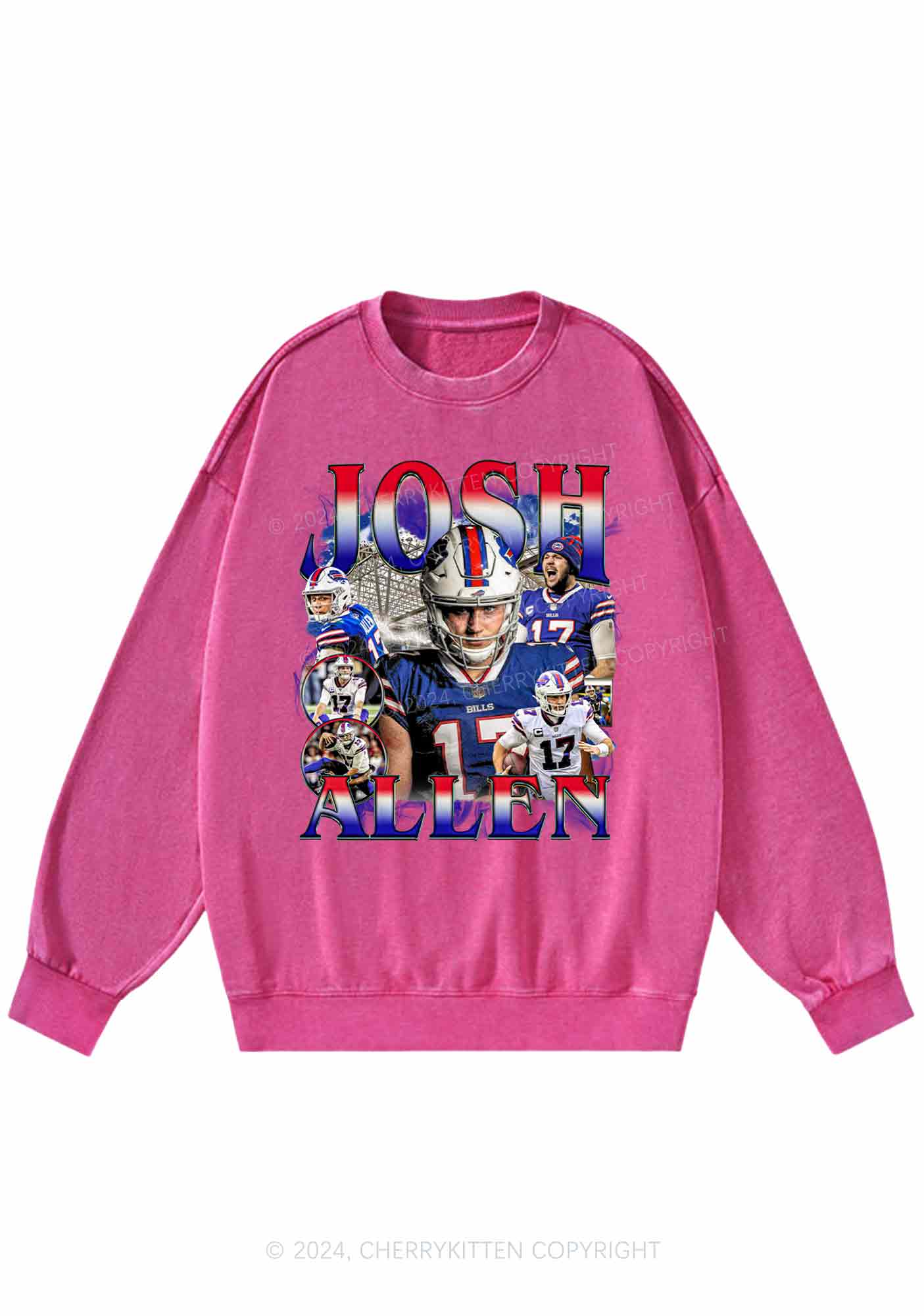 Vintage Josh Y2K Super Bowl Washed Sweatshirts Cherrykitten