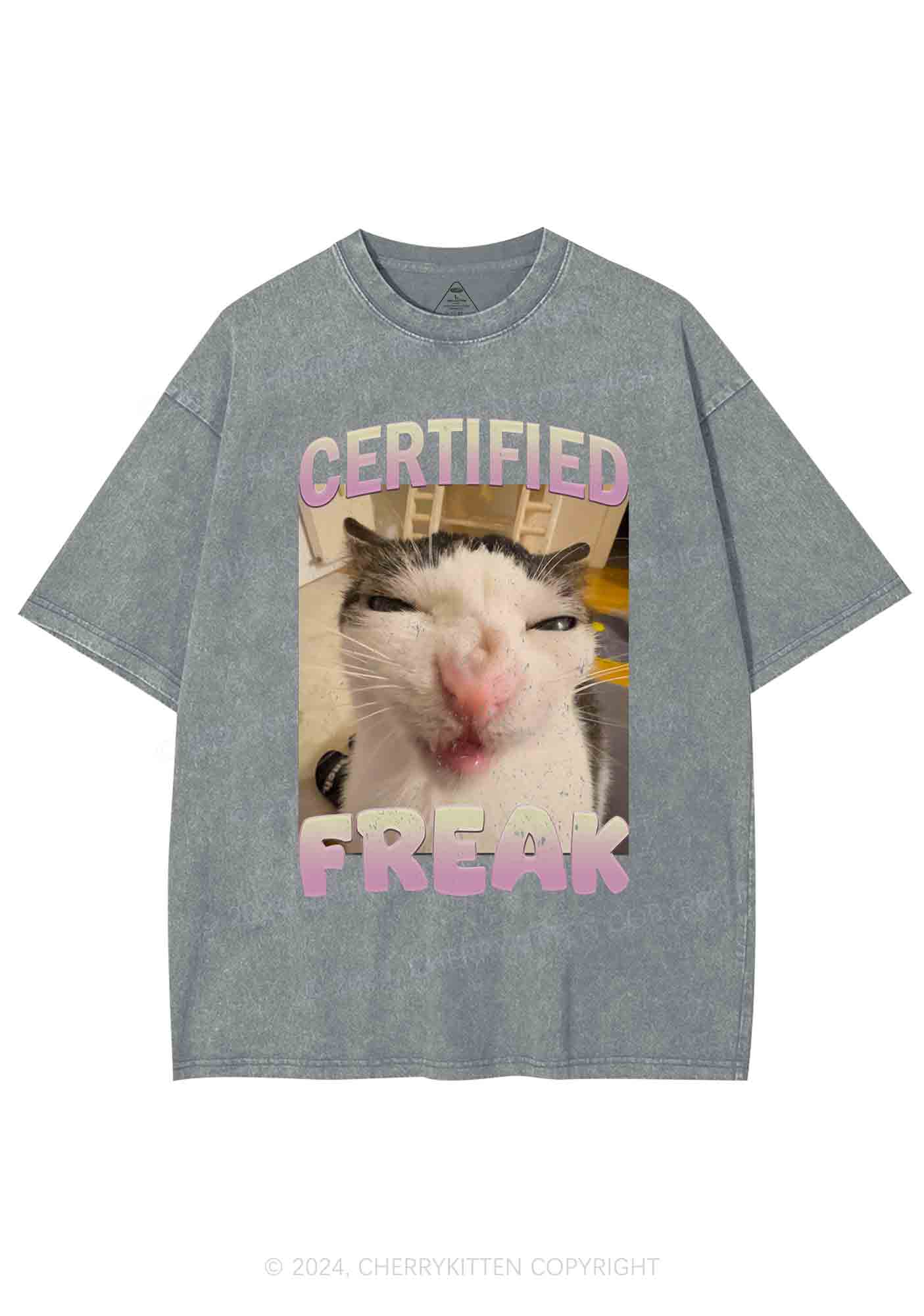 Certified Freak Y2K Washed Tee Cherrykitten