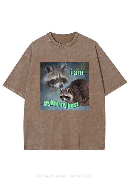 I Am Trying My Best Raccoon Y2K Washed Tee Cherrykitten