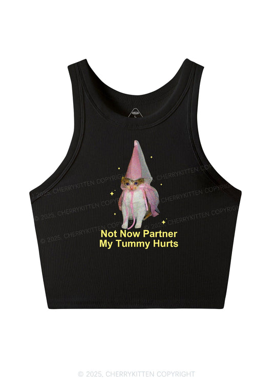 Tummy Hurts Cat Y2K Crop Tank Top Cherrykitten