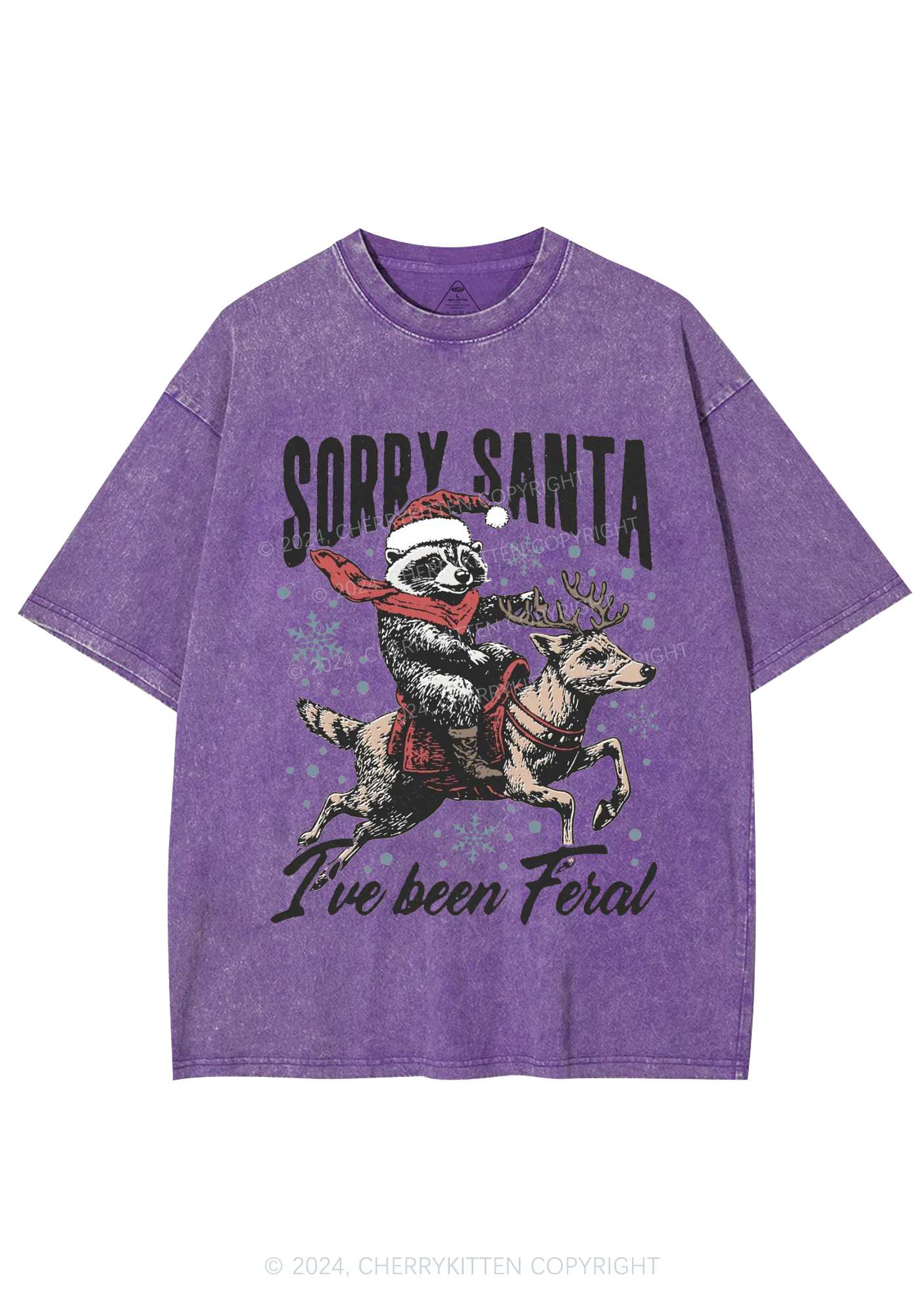 Christmas Sorry Santa Y2K Washed Tee Cherrykitten