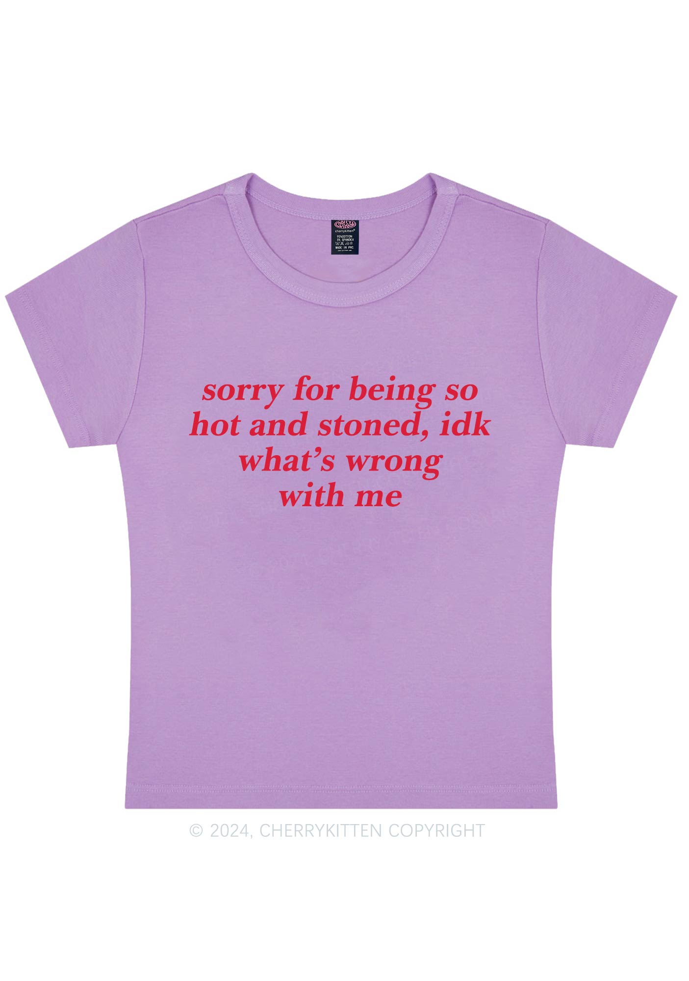 Curvy Sorry For Being Hot And Stoned Y2K Baby Tee Cherrykitten