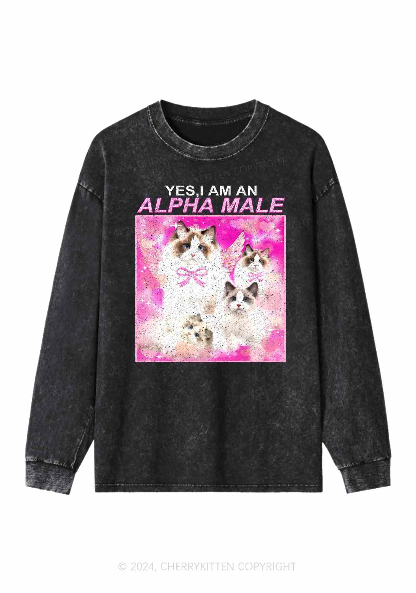 Alpha Male Y2K Washed Long Sleeves Cherrykitten