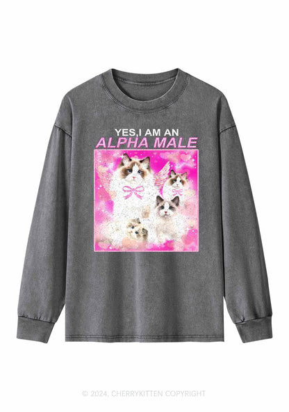 Alpha Male Y2K Washed Long Sleeves Cherrykitten