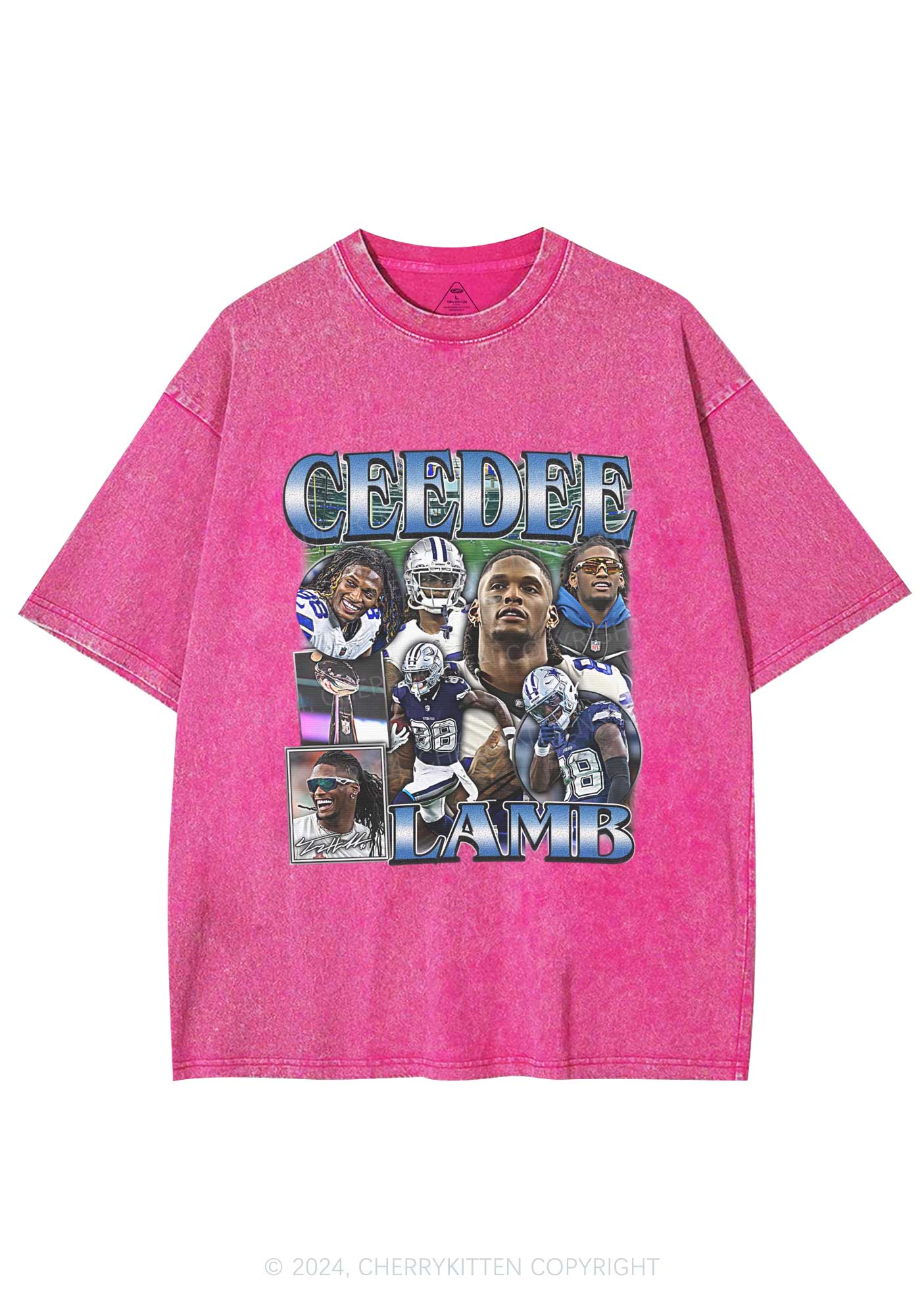 Retro Lamb Y2K Super Bowl Washed Tee Cherrykitten