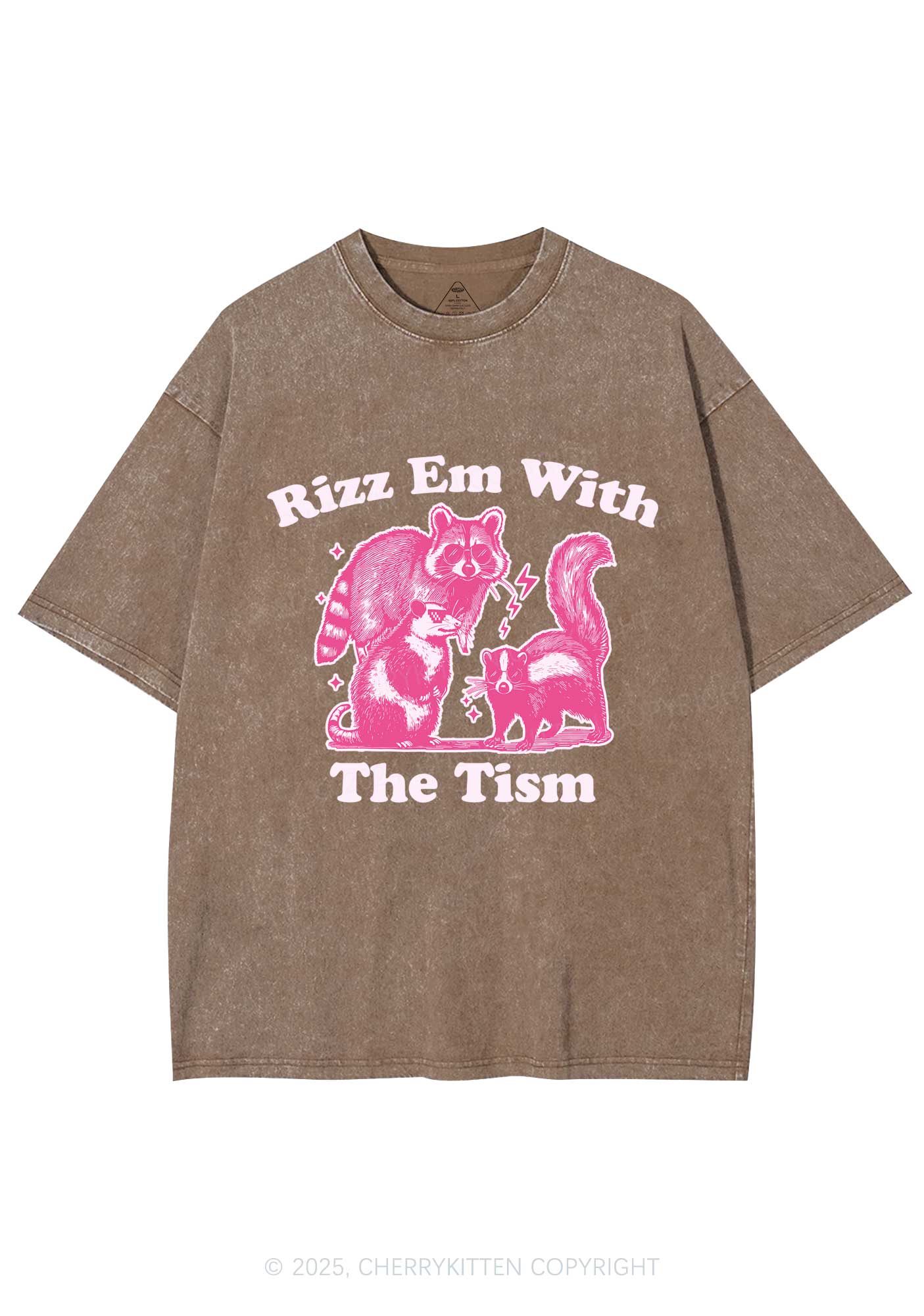 Rizz Em The Tism Y2K Washed Tee Cherrykitten