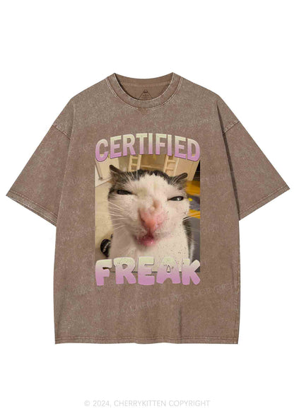 Certified Freak Y2K Washed Tee Cherrykitten