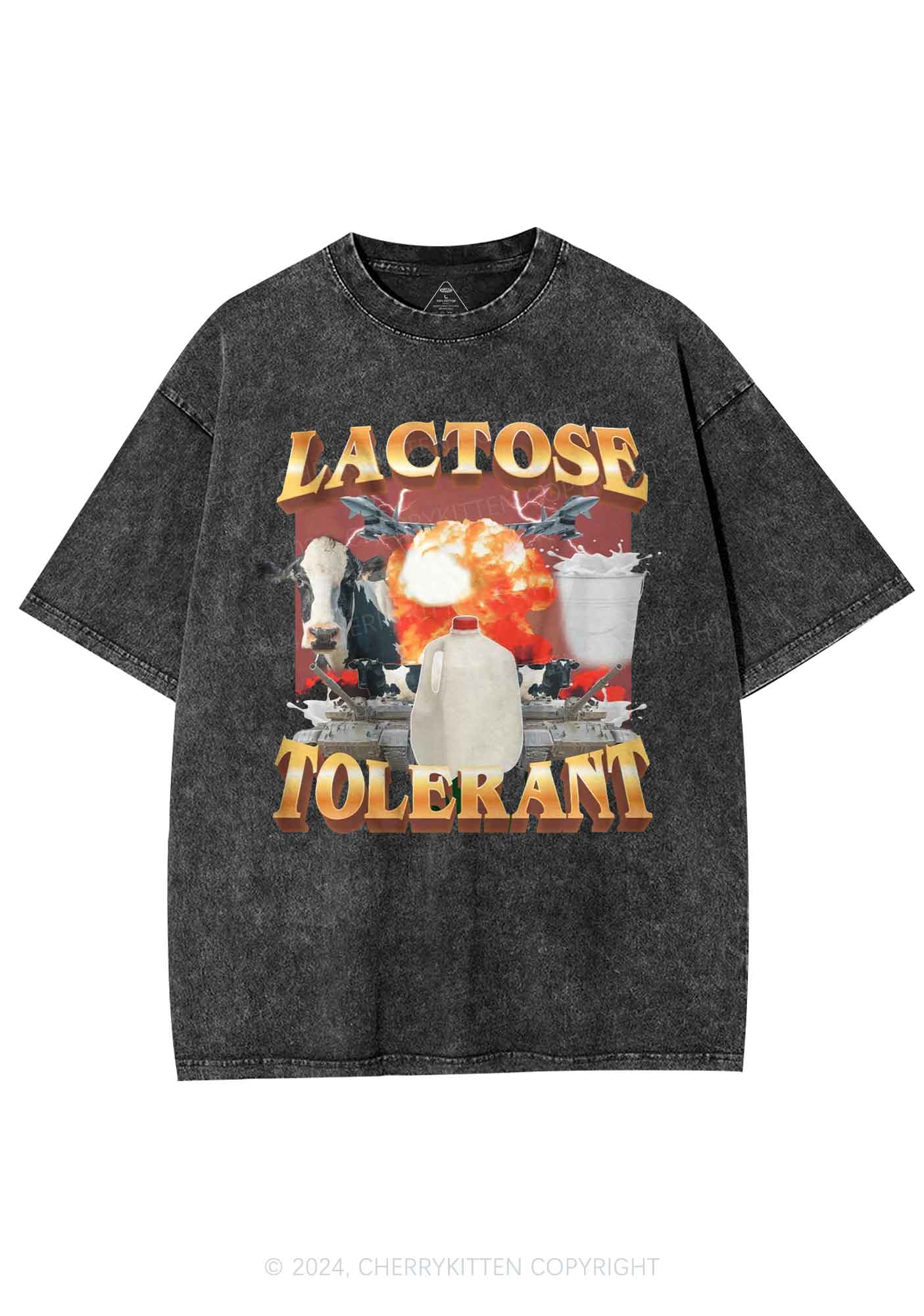 Retro Milk Lactose Tolerant Y2K Washed Tee Cherrykitten