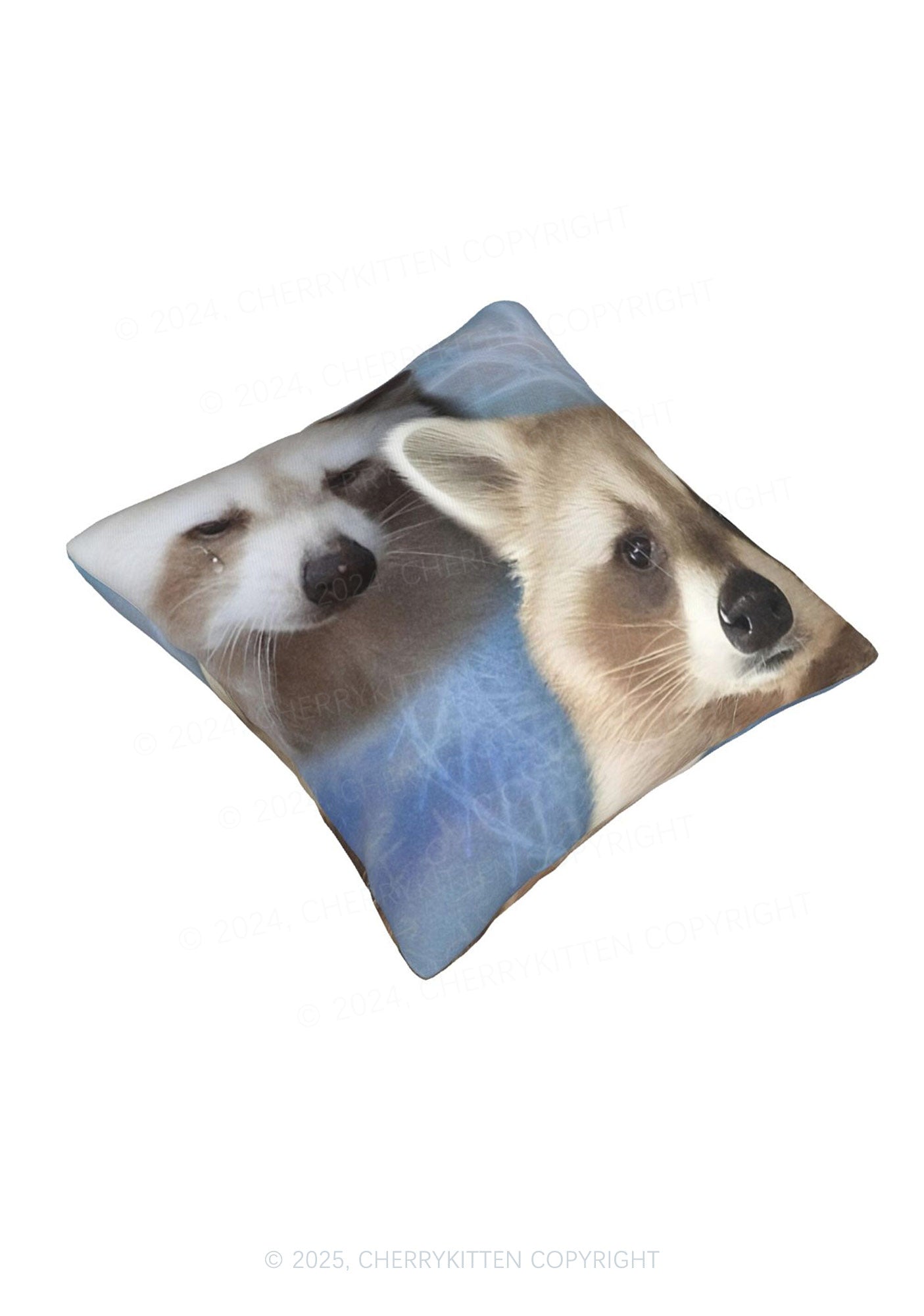 Sad Raccoon Y2K Throw Pillow Cover Cherrykitten