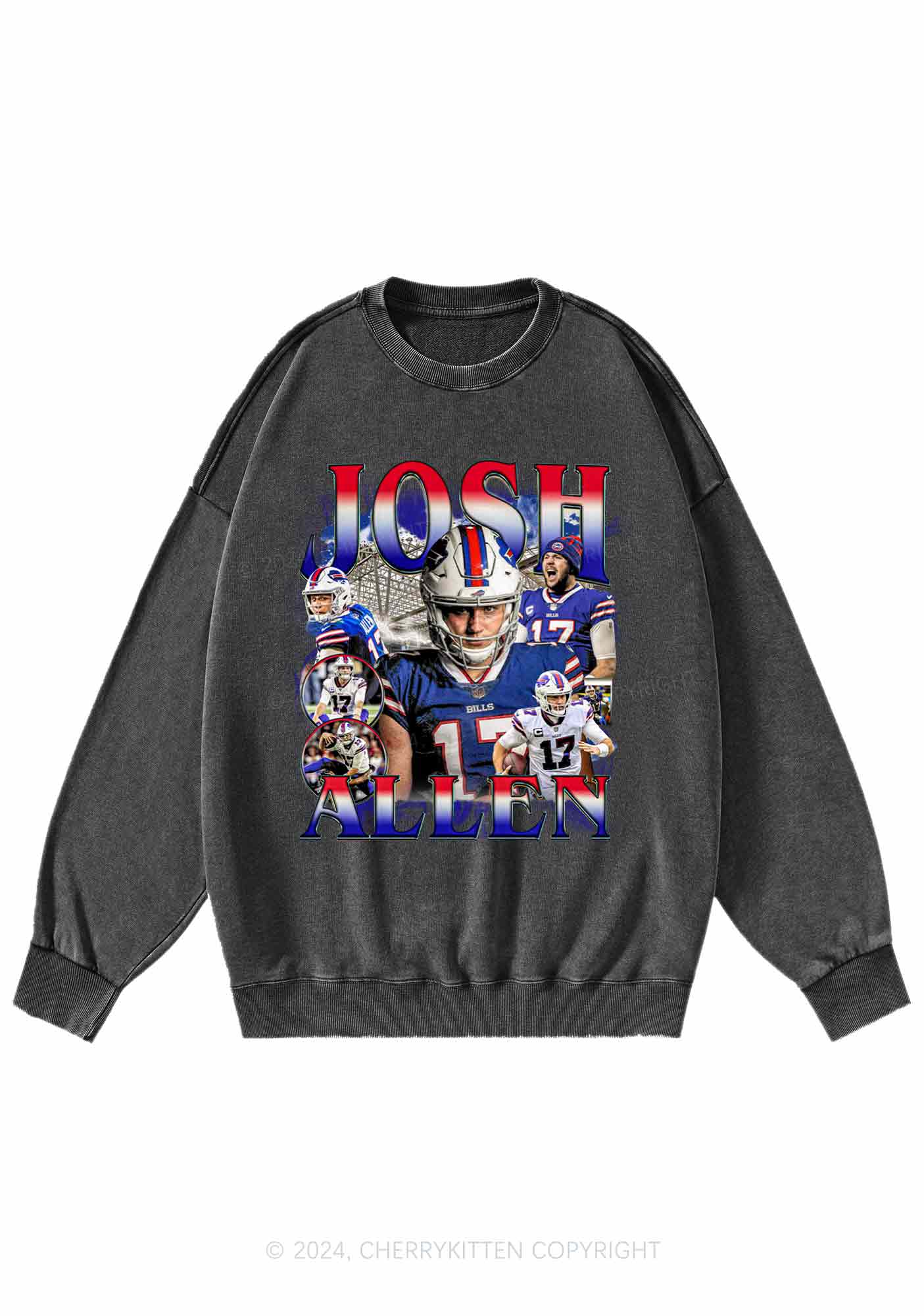 Vintage Josh Y2K Super Bowl Washed Sweatshirts Cherrykitten