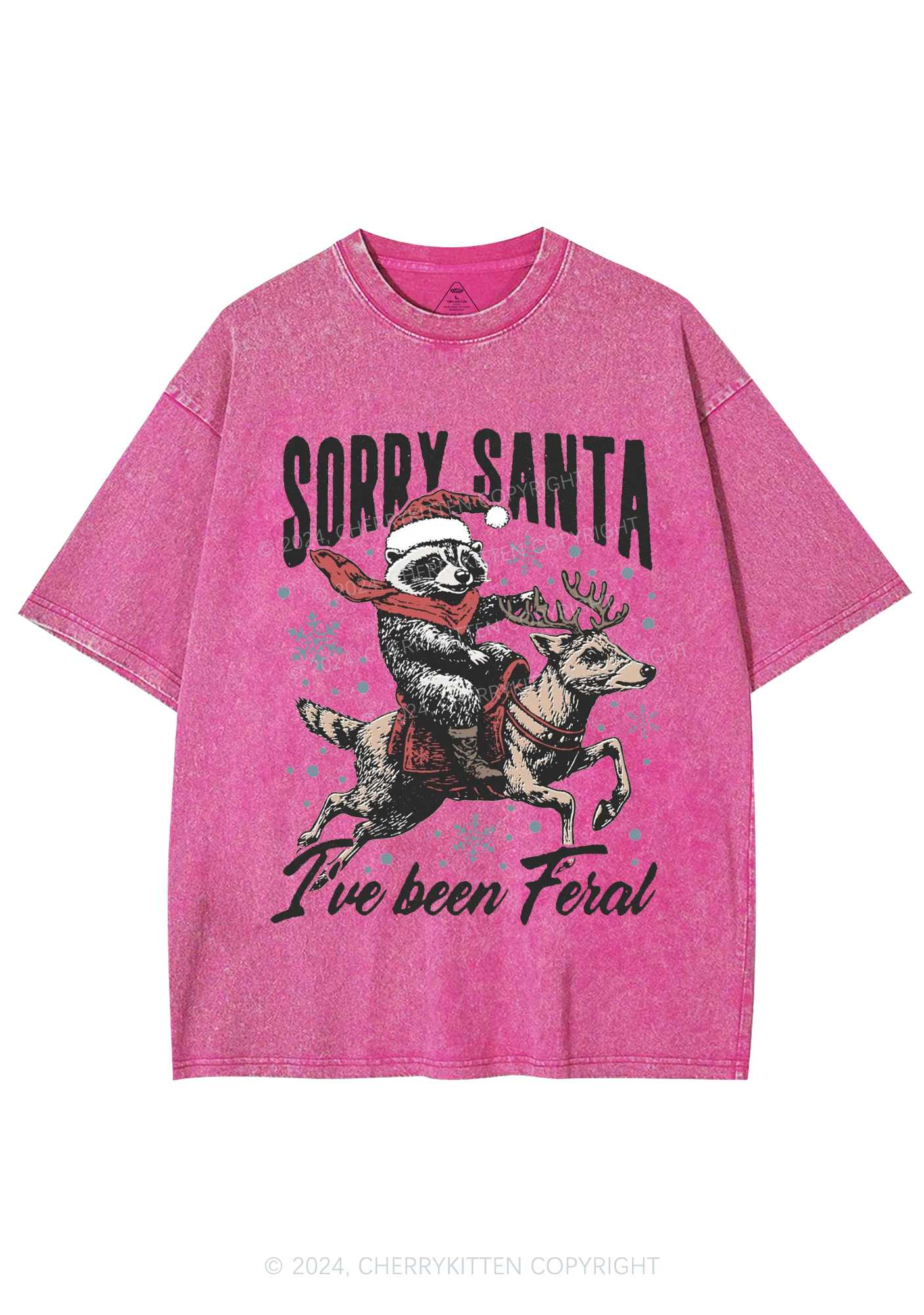 Christmas Sorry Santa Y2K Washed Tee Cherrykitten