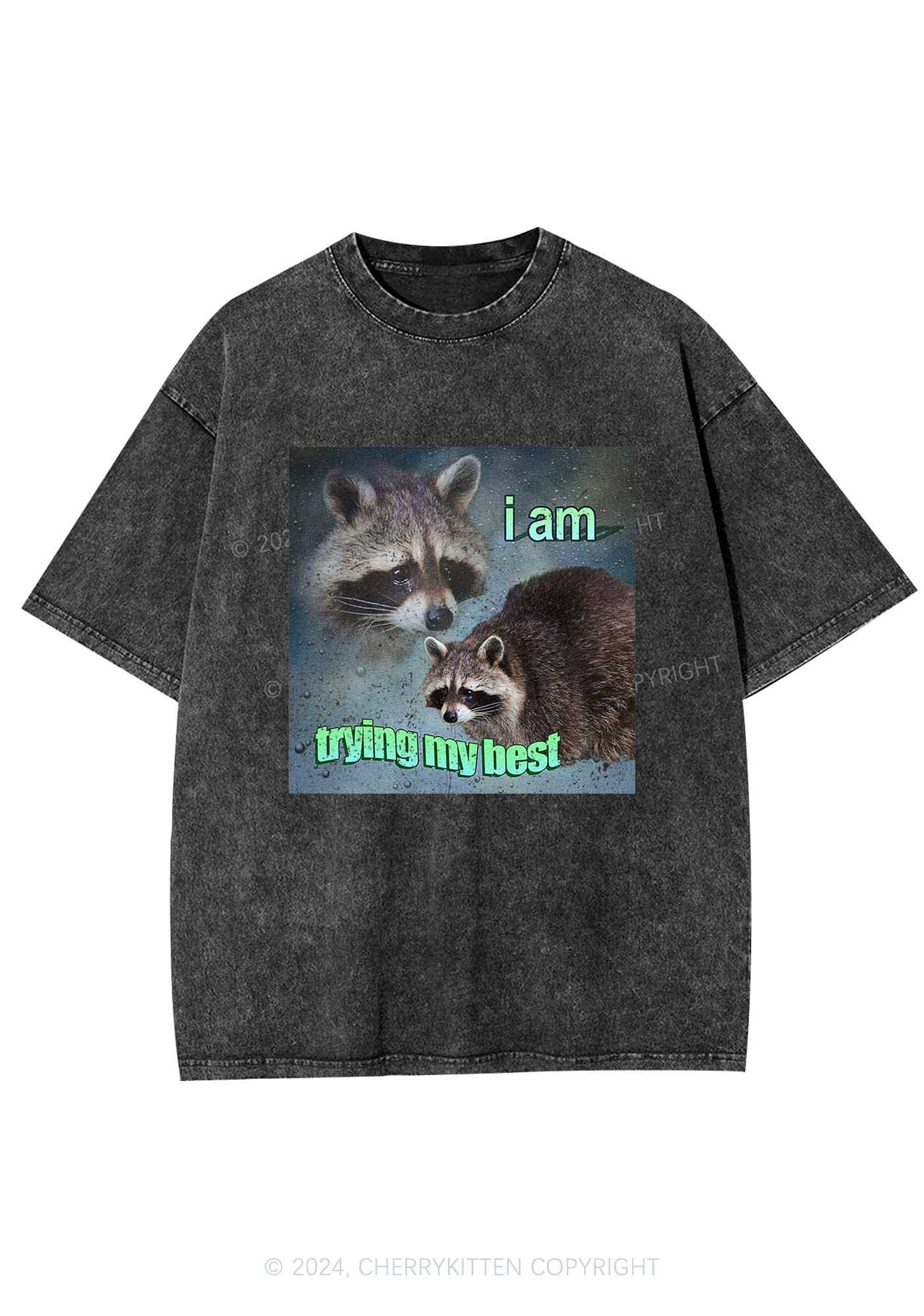 I Am Trying My Best Raccoon Y2K Washed Tee Cherrykitten