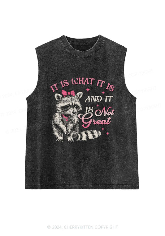 Not Great Raccoon Y2K Washed Tank Cherrykitten