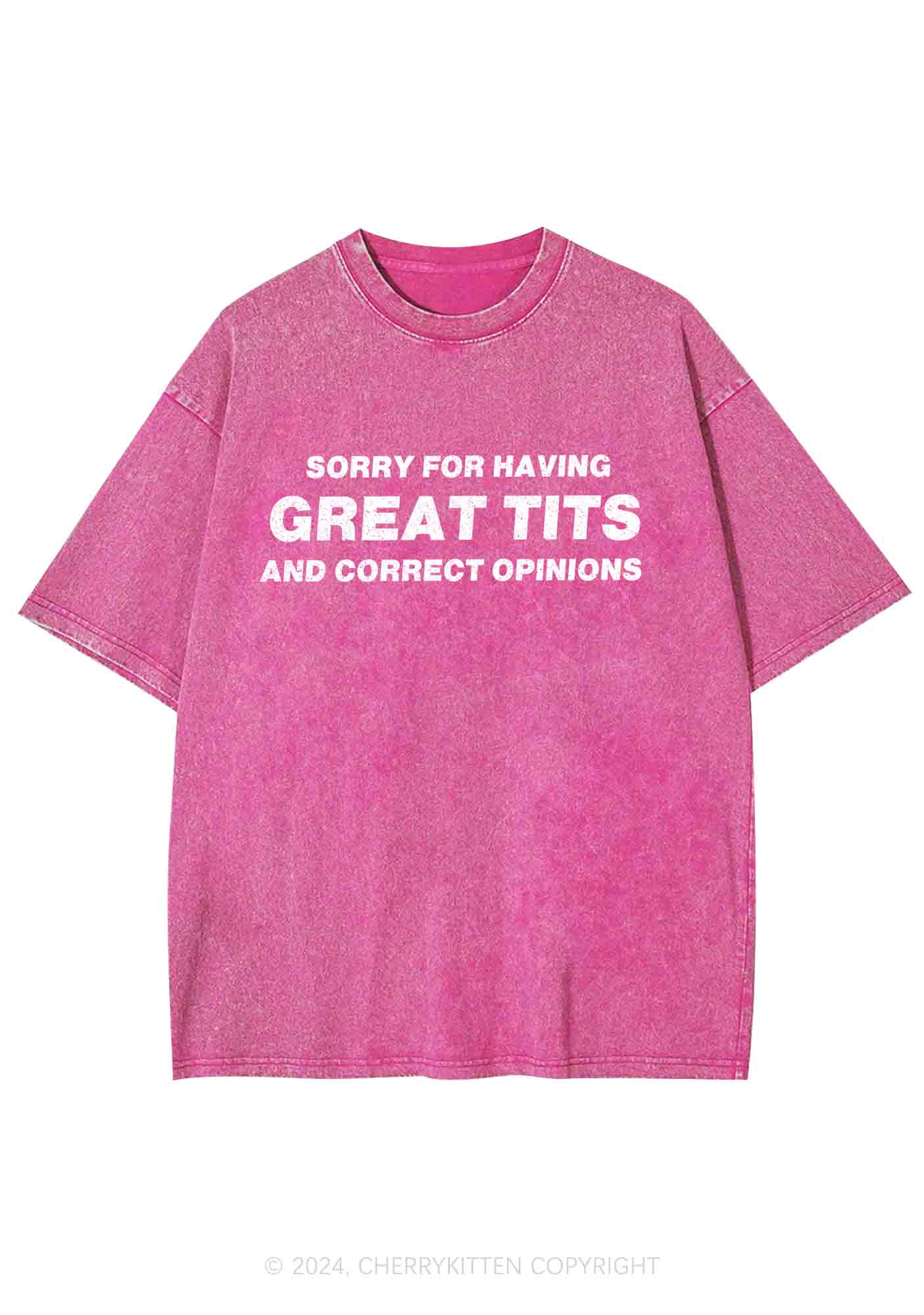 Sorry For Having Correct Opinions Y2K Washed Tee Cherrykitten