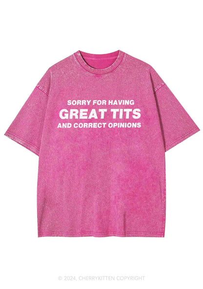 Sorry For Having Correct Opinions Y2K Washed Tee Cherrykitten