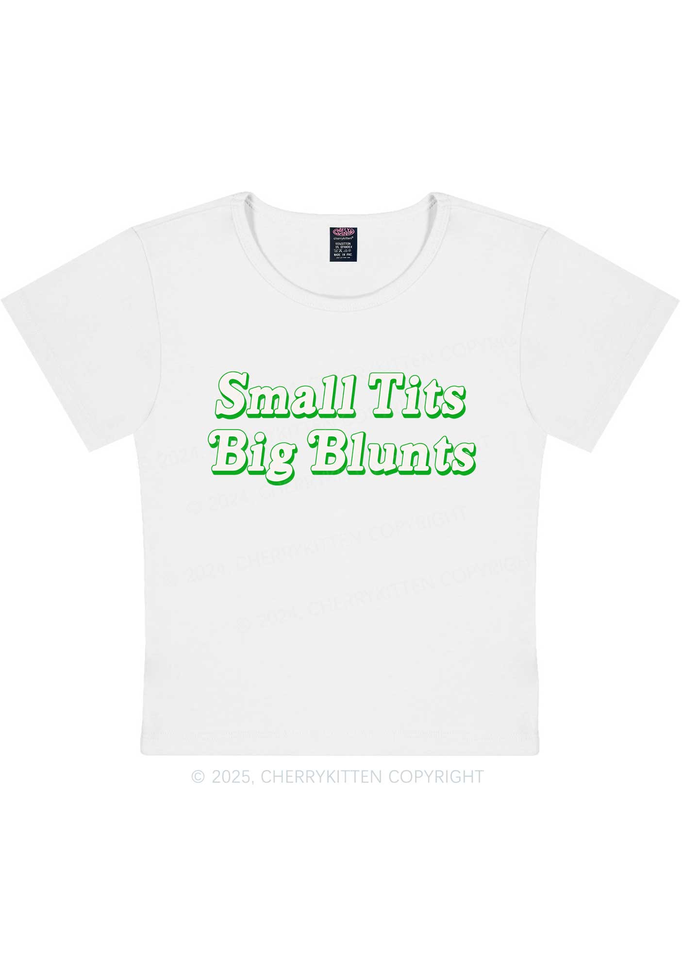 Small Txts Big Blunts Y2K Baby Tee Cherrykitten