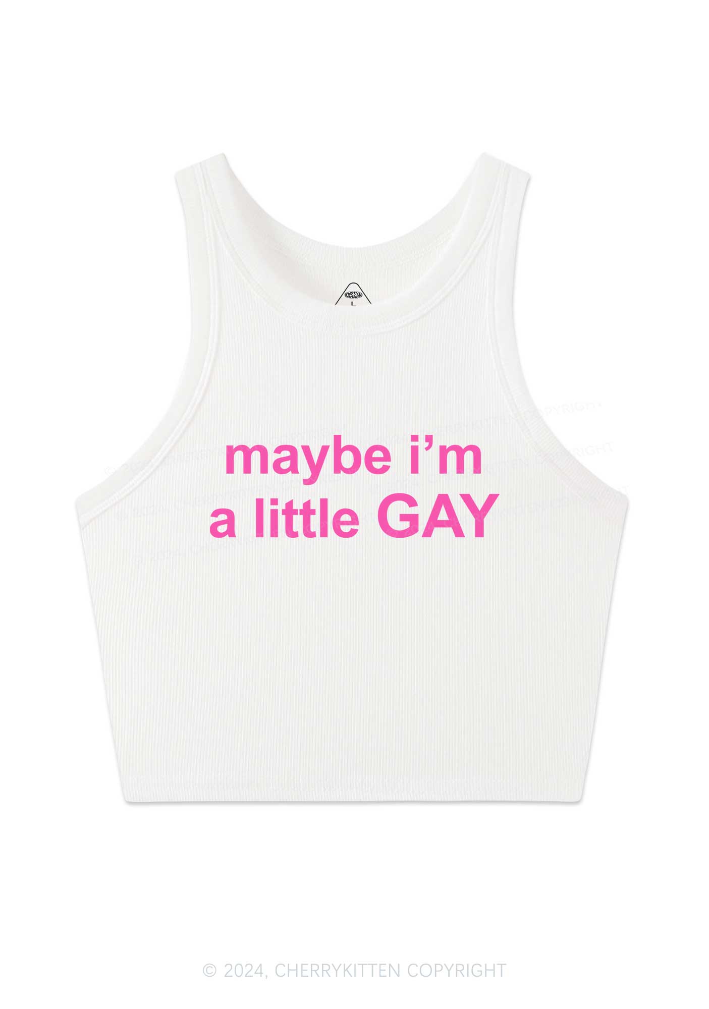 Maybe I'm A Gay Y2K Crop Tank Top Cherrykitten