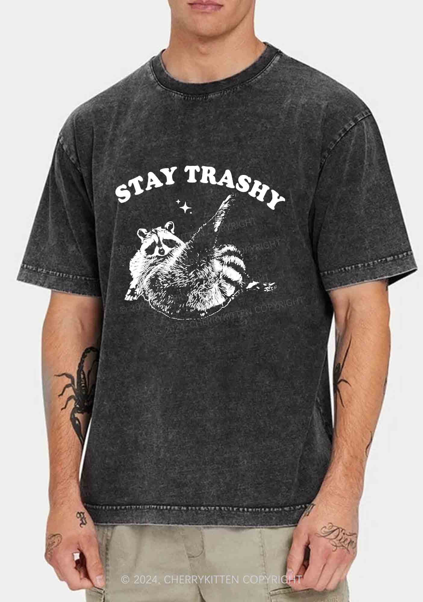 Raccoon Stay Trashy Y2K Washed Tee Cherrykitten