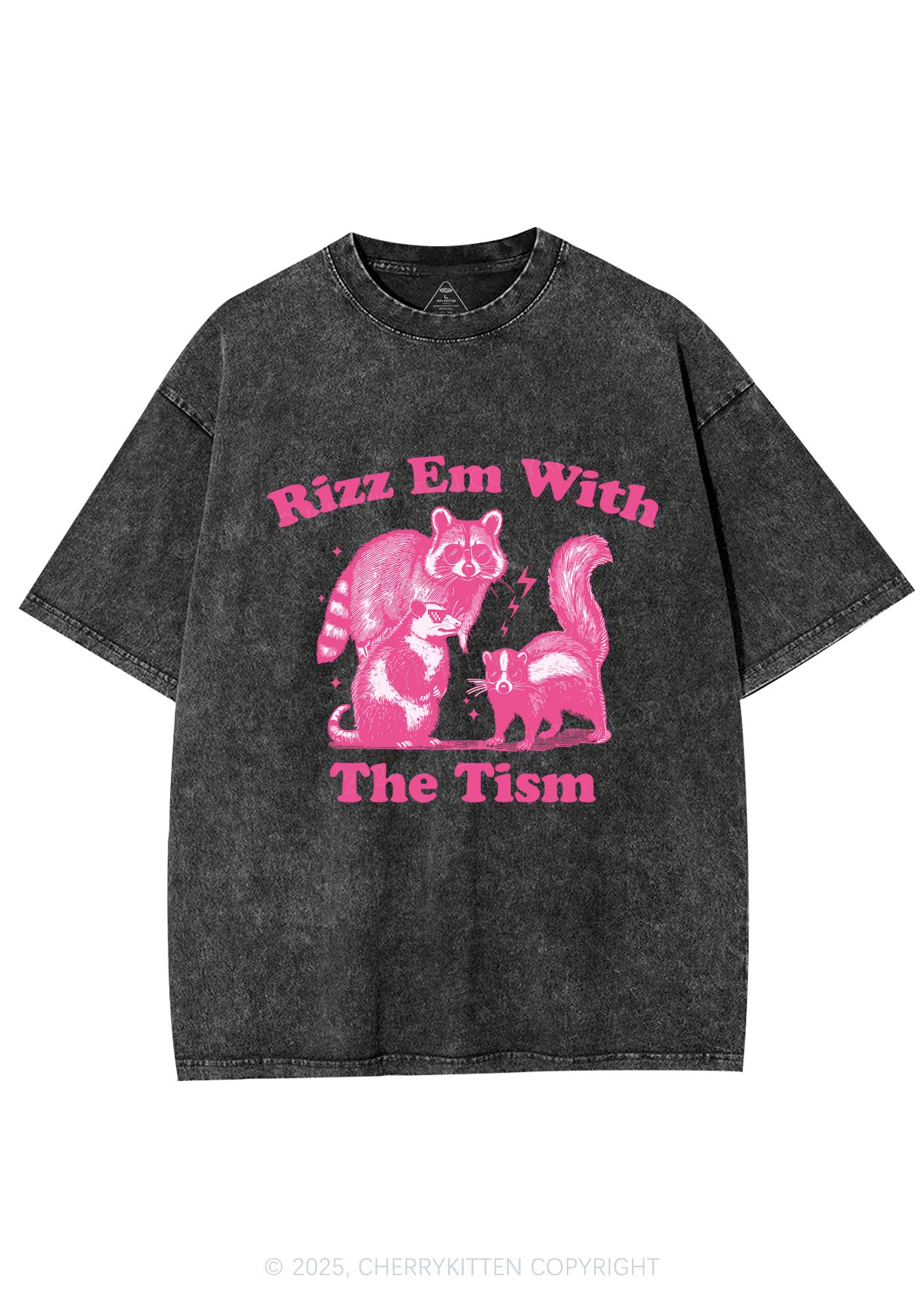 Rizz Em The Tism Y2K Washed Tee Cherrykitten