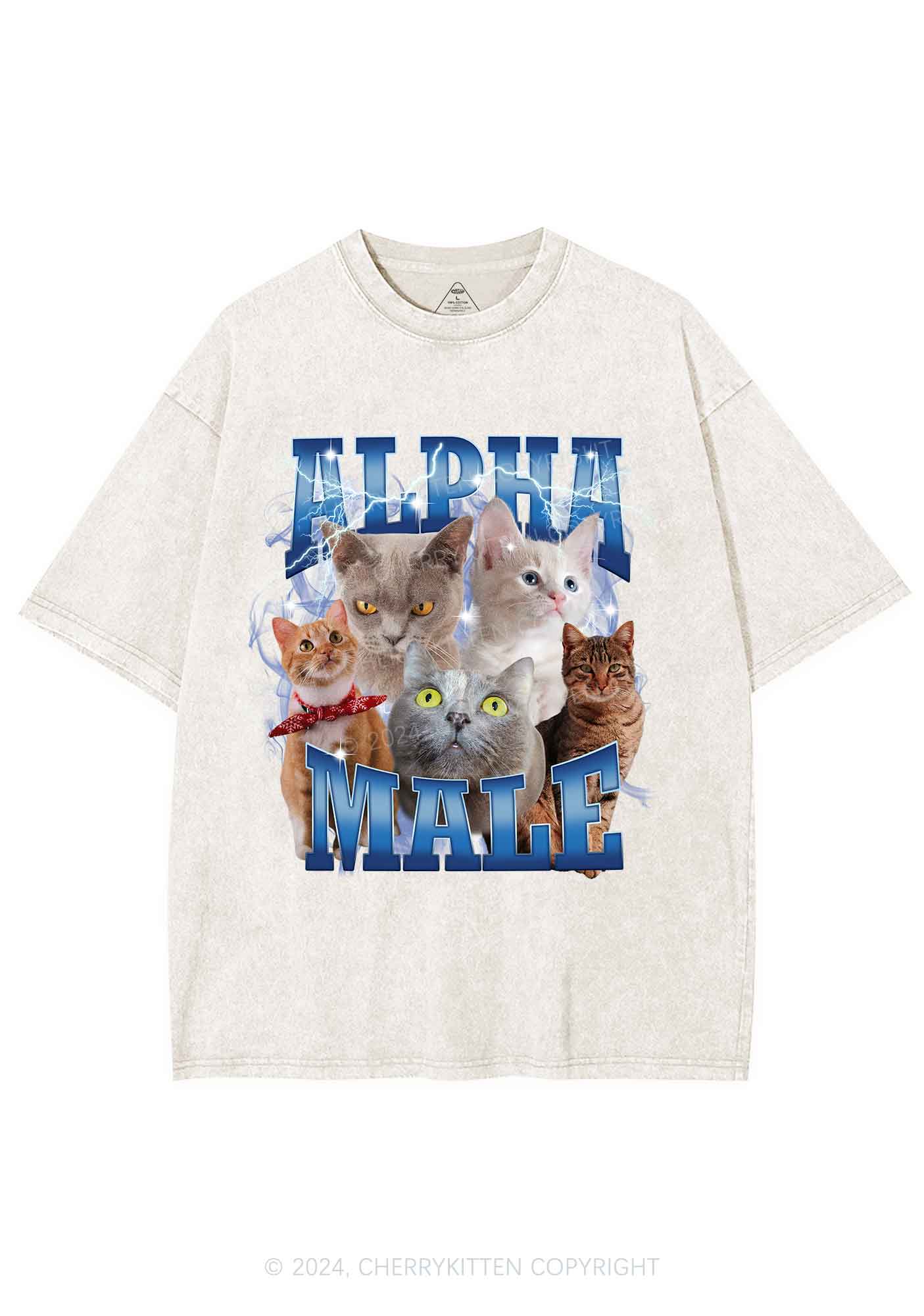 Blue Lightning Alpha Male Y2K Washed Tee Cherrykitten