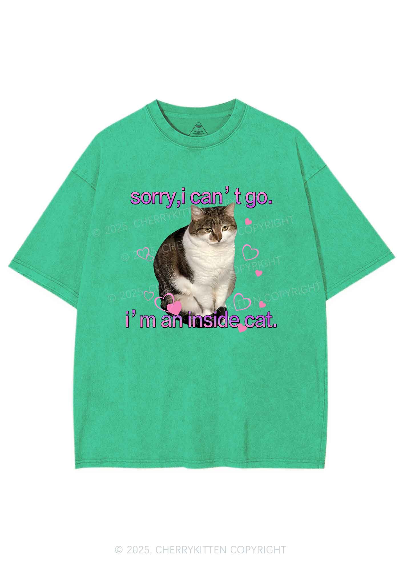 Im An Inside Cat Y2K Washed Tee Cherrykitten