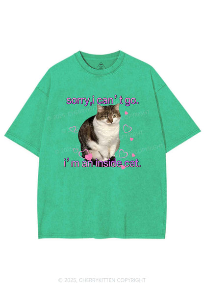 Im An Inside Cat Y2K Washed Tee Cherrykitten