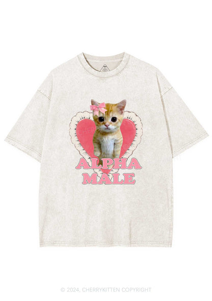 Alpha Male Kitten Y2K Washed Tee Cherrykitten