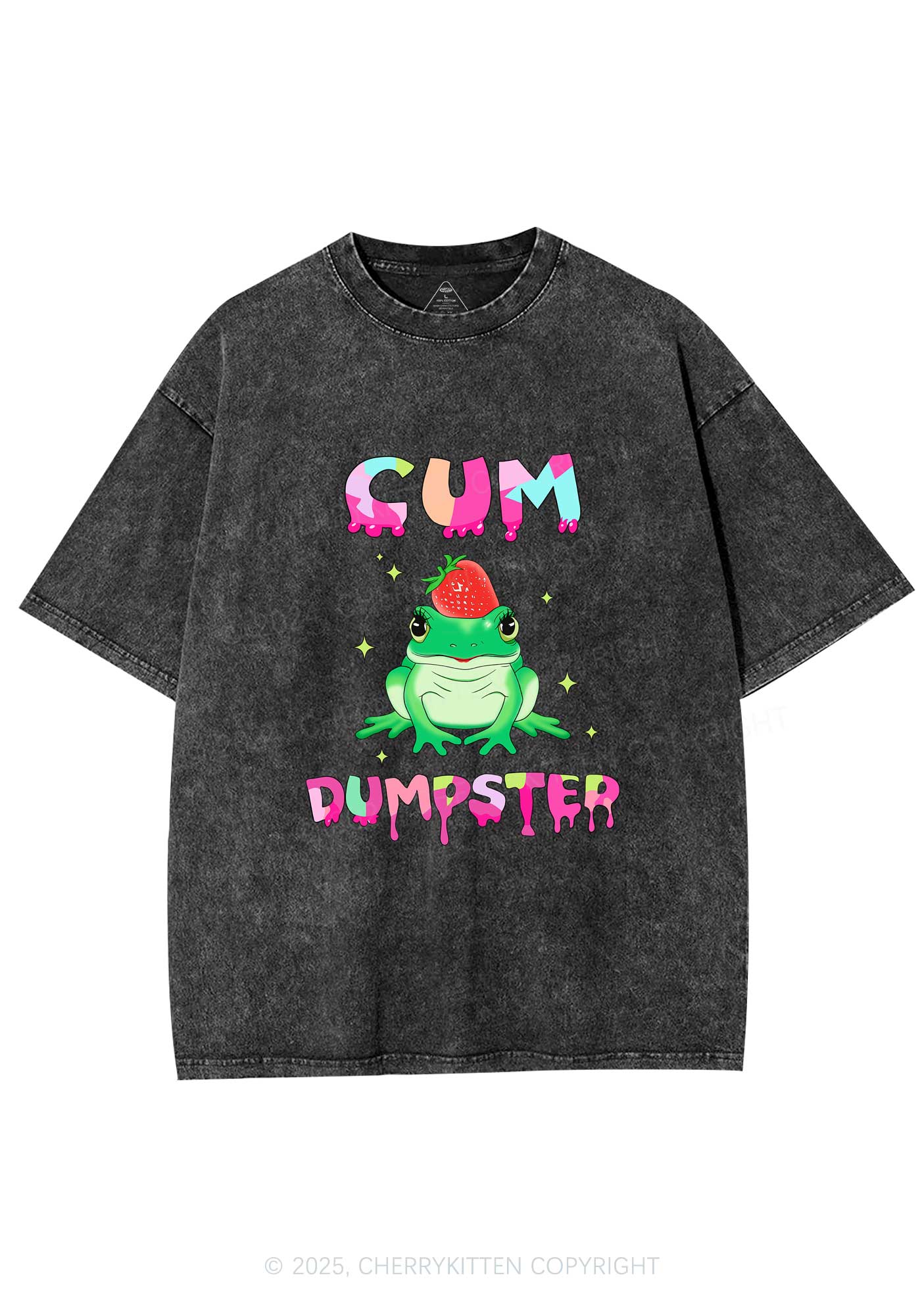 Frog Cxm Dumpster Y2K Washed Tee Cherrykitten