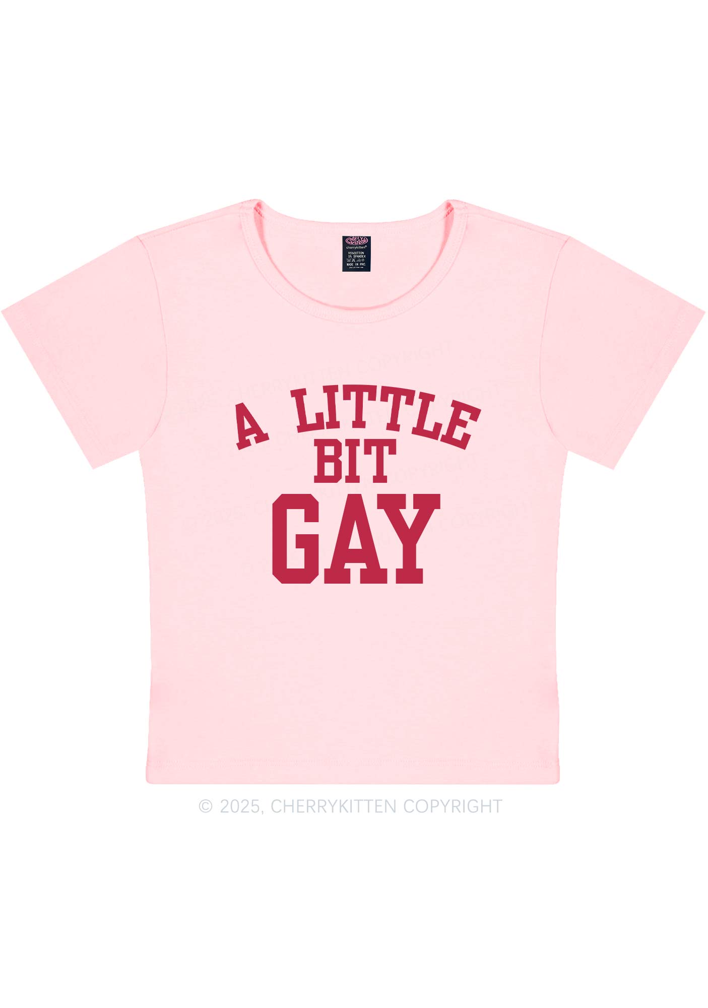 A Little Bit Gay Y2K Baby Tee Cherrykitten