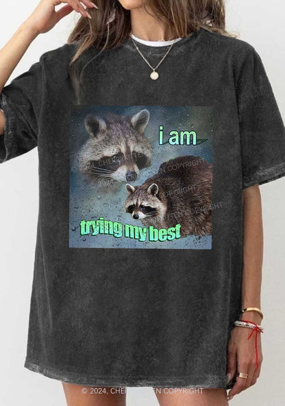 I Am Trying My Best Raccoon Y2K Washed Tee Cherrykitten