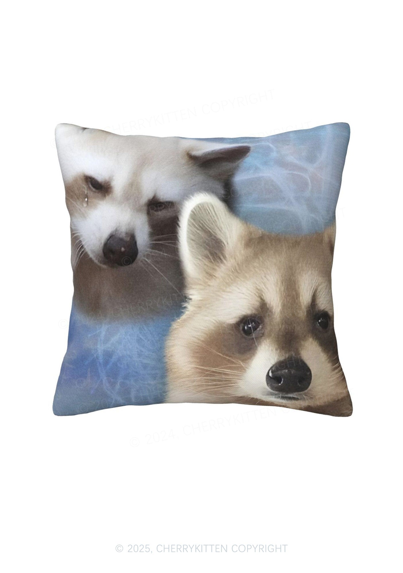 Sad Raccoon Y2K Throw Pillow Cover Cherrykitten