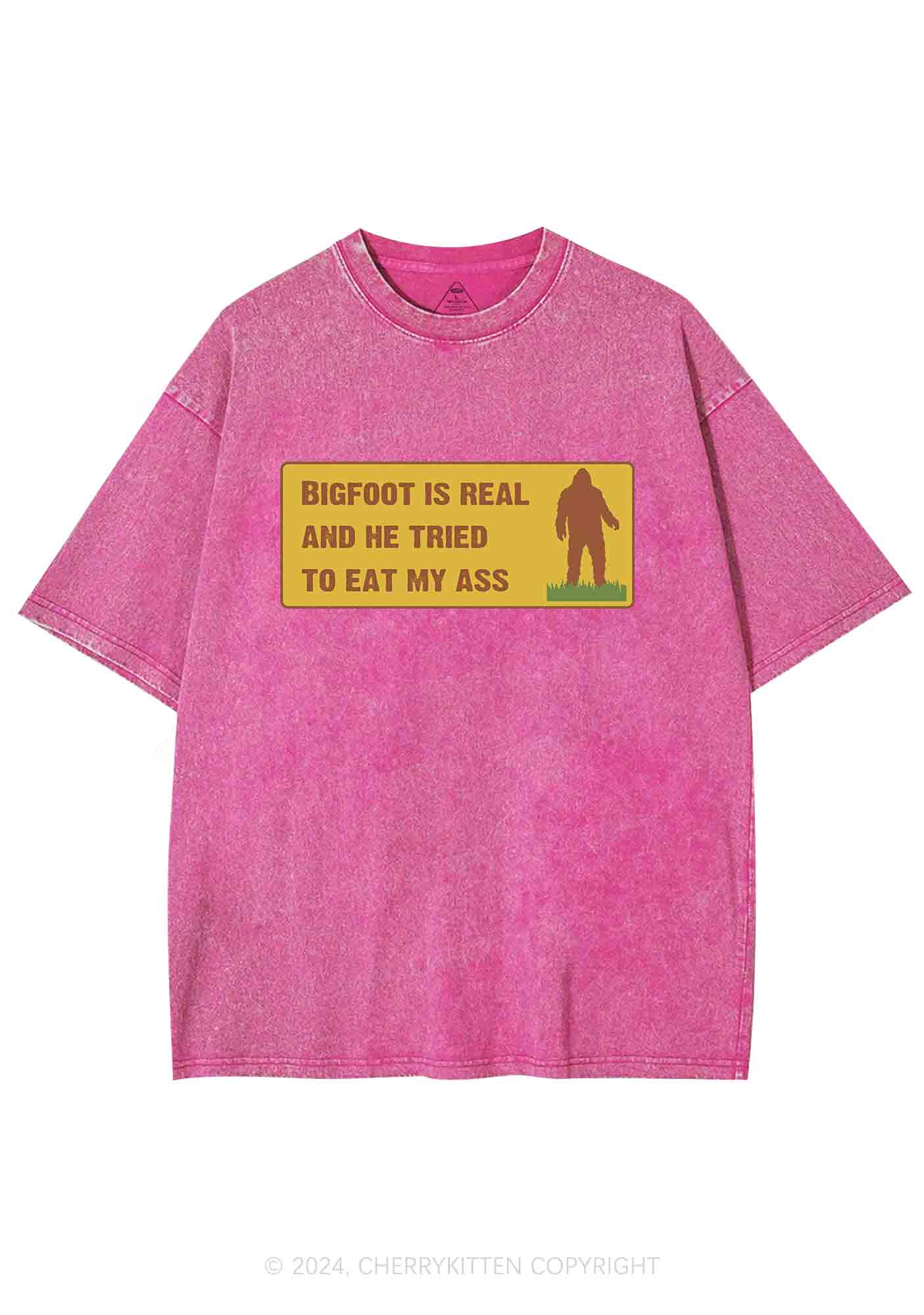 Bigfoot Is Real Y2K Washed Tee Cherrykitten