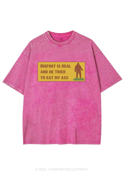 Bigfoot Is Real Y2K Washed Tee Cherrykitten